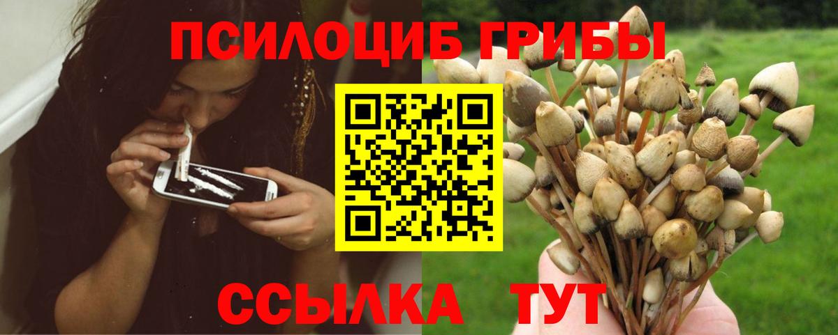 Чапаевск  Псилоцибиновые грибы мухоморы  Вход с VPN  Галлюциногенные грибы мицелий 